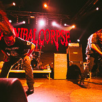  Cannibal Corpse  ,  41