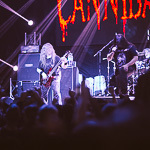  Cannibal Corpse  ,  48