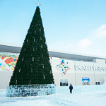 Новогодние ёлки в Екатеринбурге, фото 1