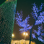 Новогодние ёлки в Екатеринбурге, фото 60