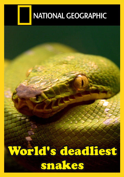 Самые опасные змеи в мире. Обложка с сайта imageshost.ru
