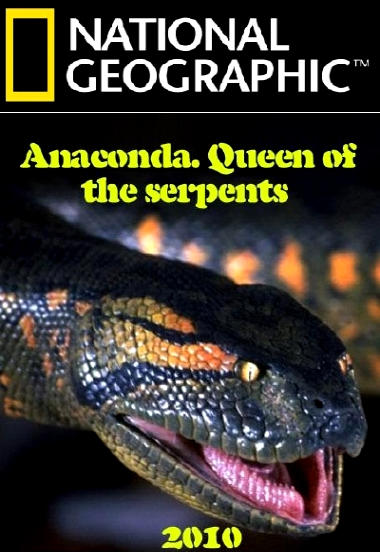 Анаконда. Королева змей. Обложка с сайта imagepost.ru