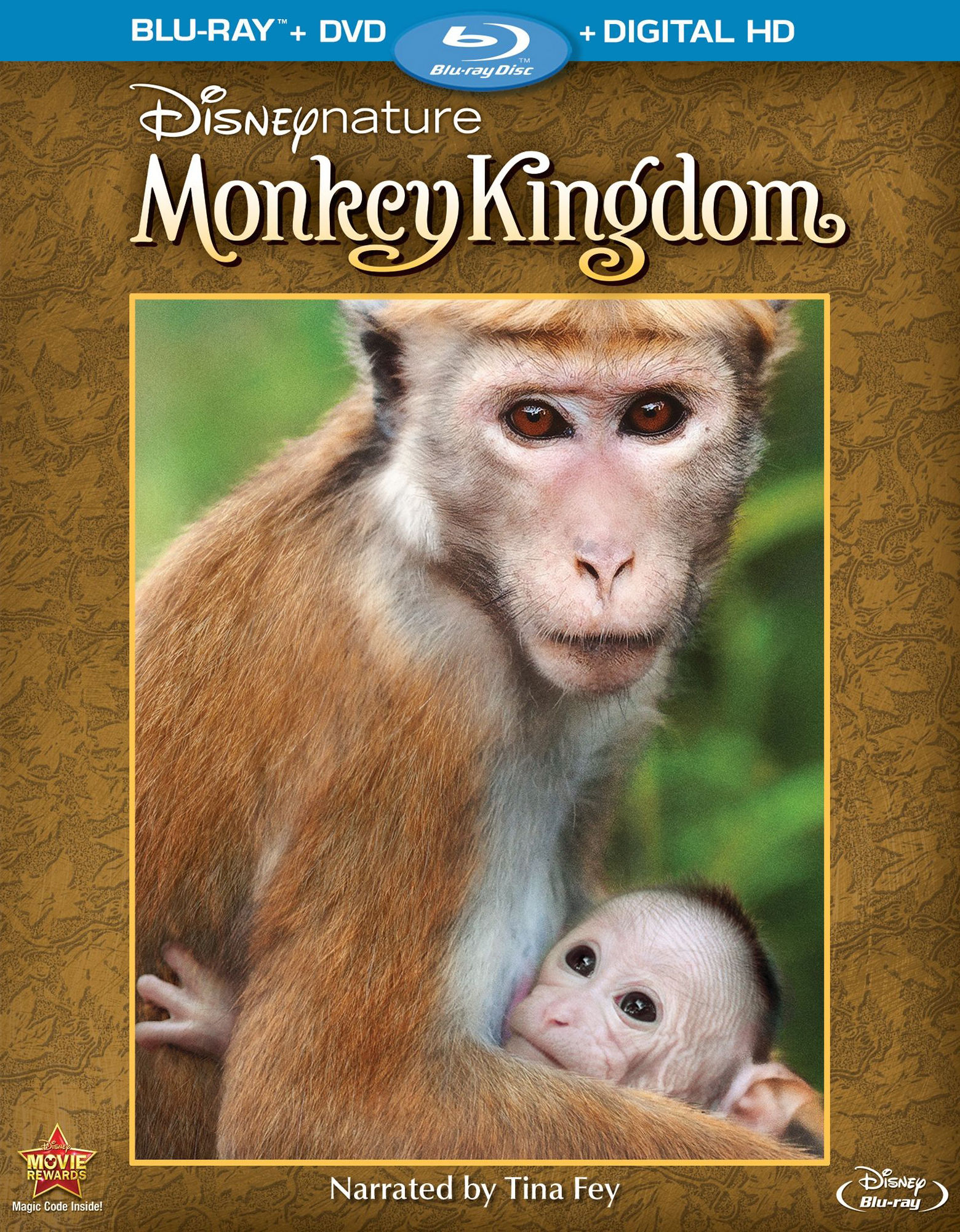 Королевство обезьян / Monkey Kingdom (США, 2015) — Фильмы — Вебург