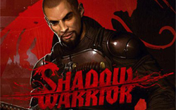   Shadow Warrior