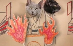 Кадр из ролика Cats remake Hunger Games