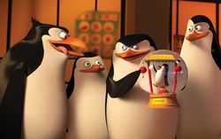 Кадр из мультфильма «Пингвины Мадагаскара»