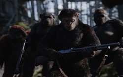Кадр из фильма Планета обезьян: Война