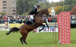   .    equestrianism2005.narod.ru