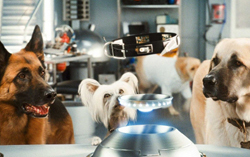 Кадр из фильма «Кошки против собак: Месть Китти Галор»