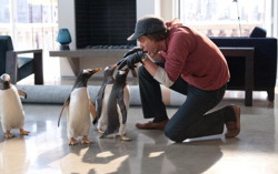 Кадр из фильма «Пингвины Мистера Поппера»