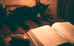 ���� � ������. ���� � ����� stihi.ru