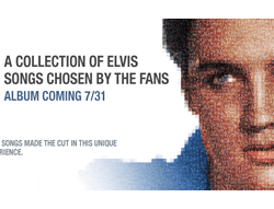�����, ������������ �� ����������. ����������� � ����� iamanelvisfan.com