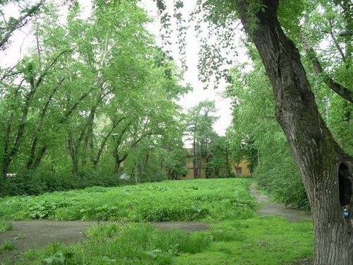 Сад Вайнера